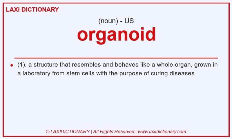 Definition organoid in American English