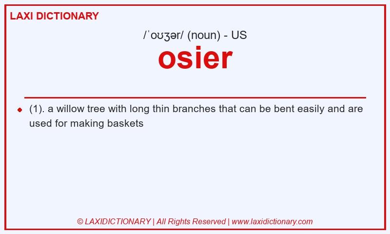 Definition osier in American English