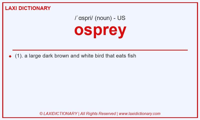 Definition osprey in American English