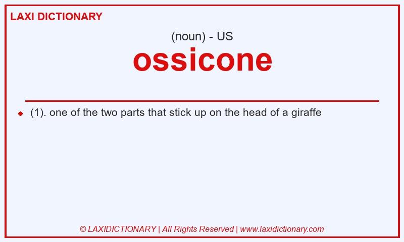 Definition ossicone in American English