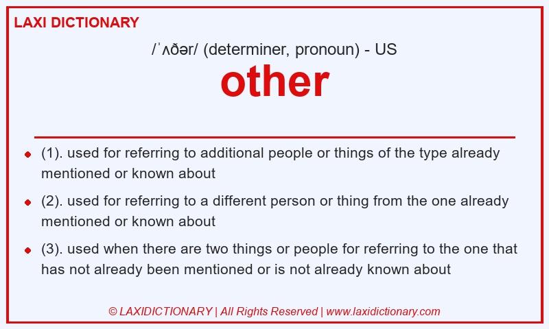 Definition other in American English