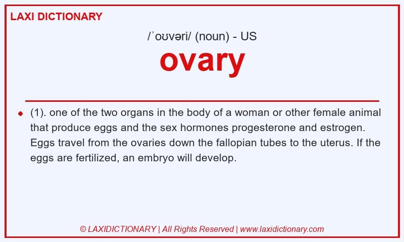 Definition ovary in American English