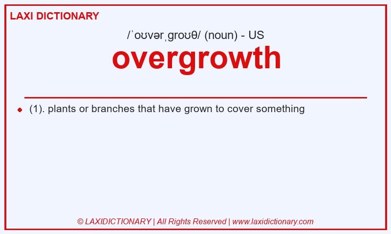 Definition overgrowth in American English