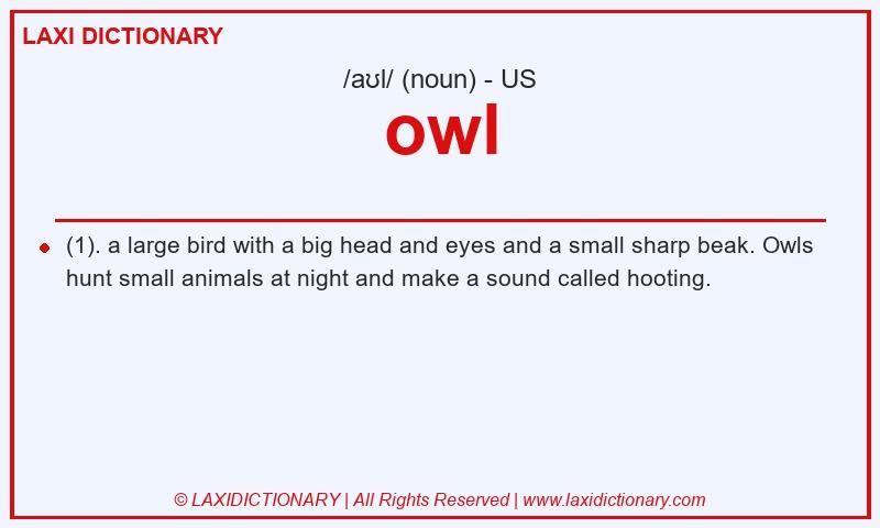 Definition owl in American English