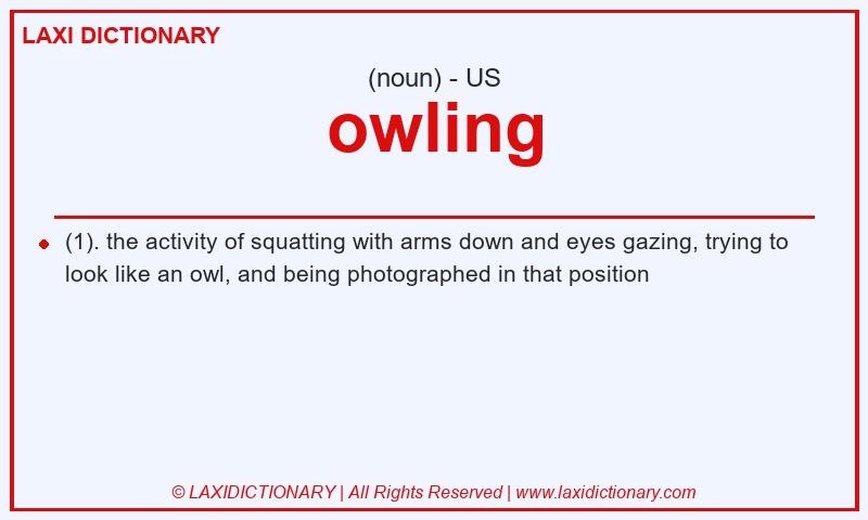Definition owling in American English