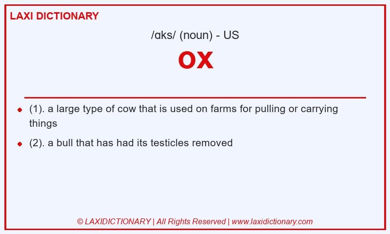 Definition ox in American English