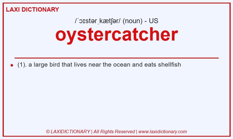 Definition oystercatcher in American English