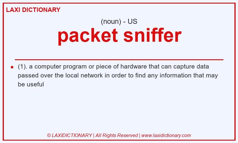 Definition packet sniffer in American English