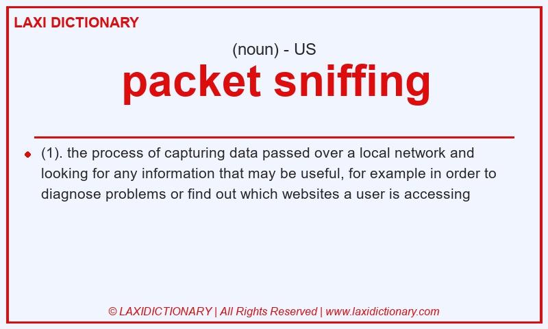 Definition packet sniffing in American English