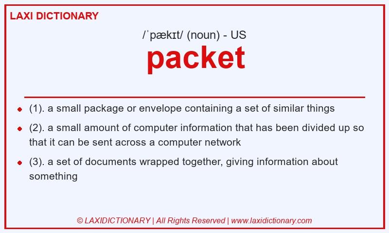 Definition packet in American English