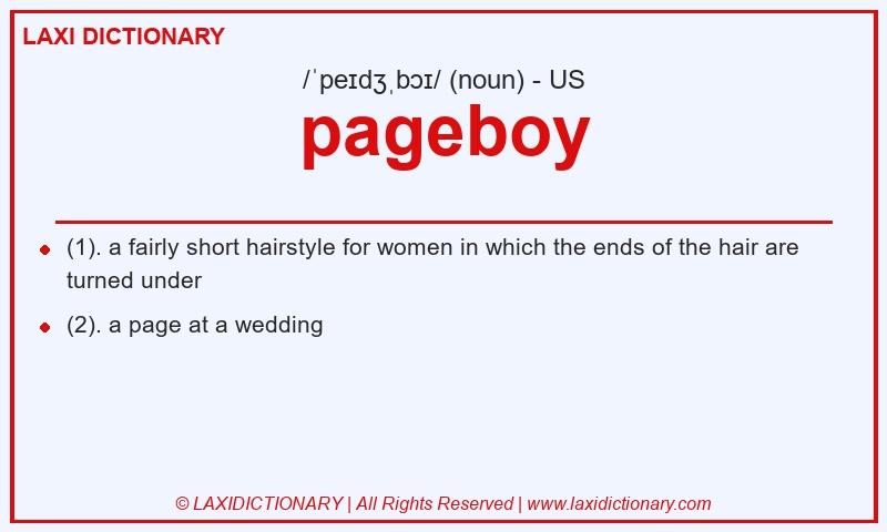 Definition pageboy in American English