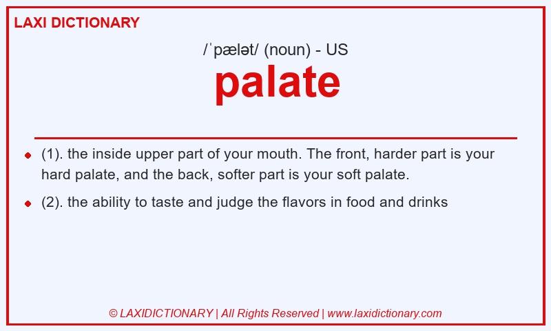 Definition palate in American English