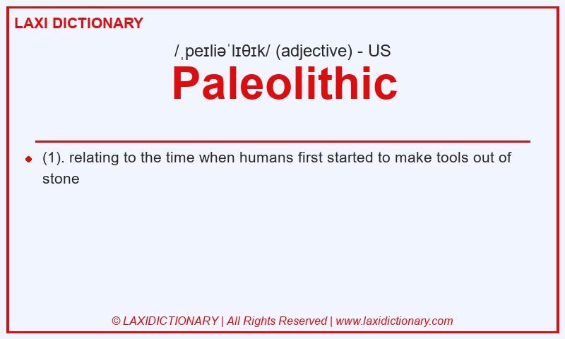 Definition Paleolithic in American English