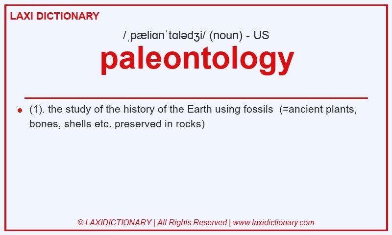 Definition paleontology in American English