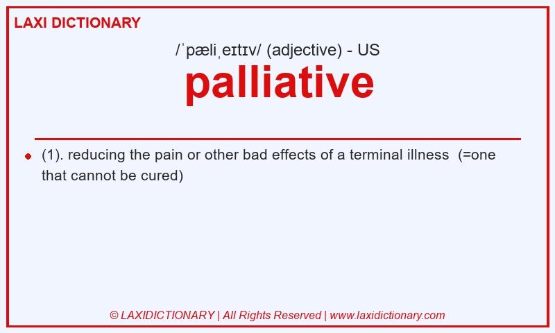 Definition palliative in American English
