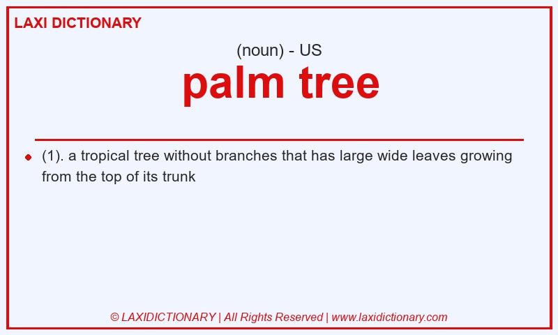 Definition palm tree in American English