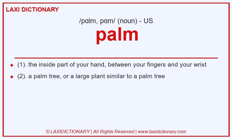 Definition palm in American English