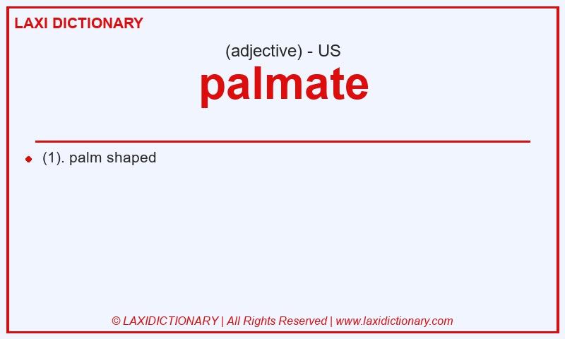 Definition palmate in American English
