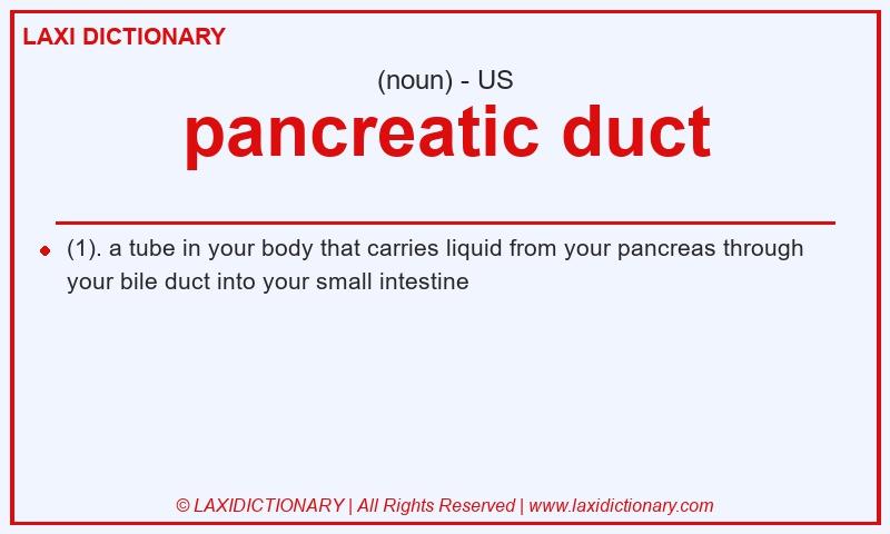 Definition pancreatic duct in American English