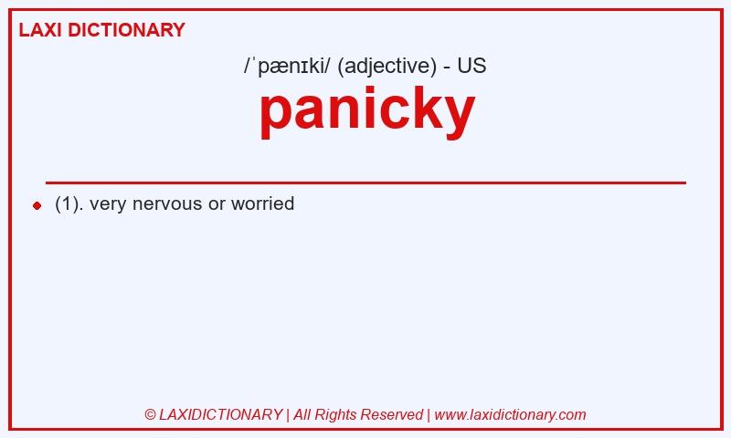Definition panicky in American English