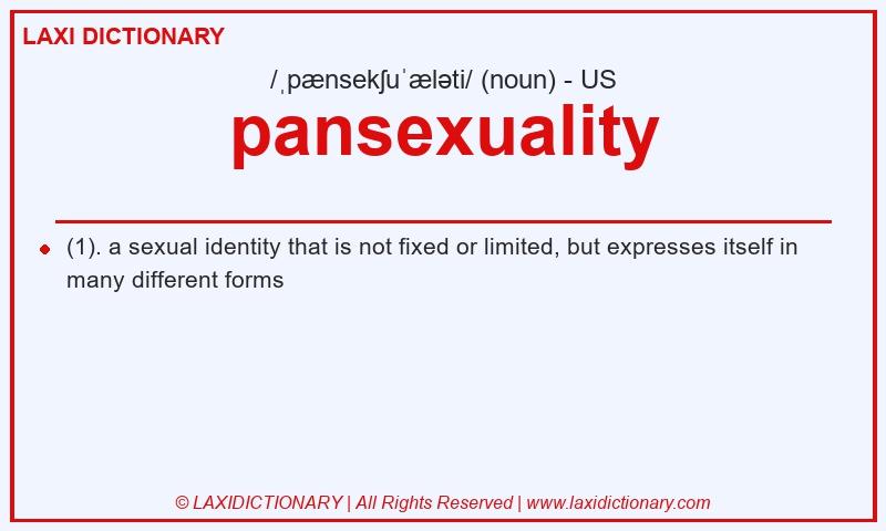 Definition pansexuality in American English