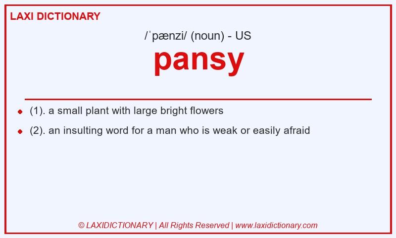 Definition pansy in American English