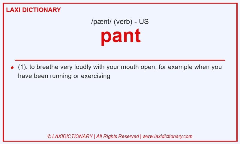 Definition pant in American English