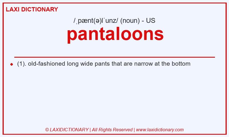 Definition pantaloons in American English