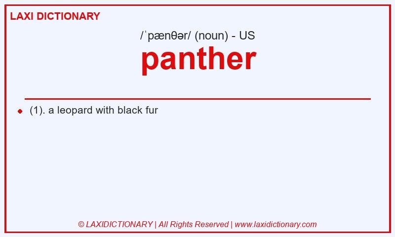 Definition panther in American English
