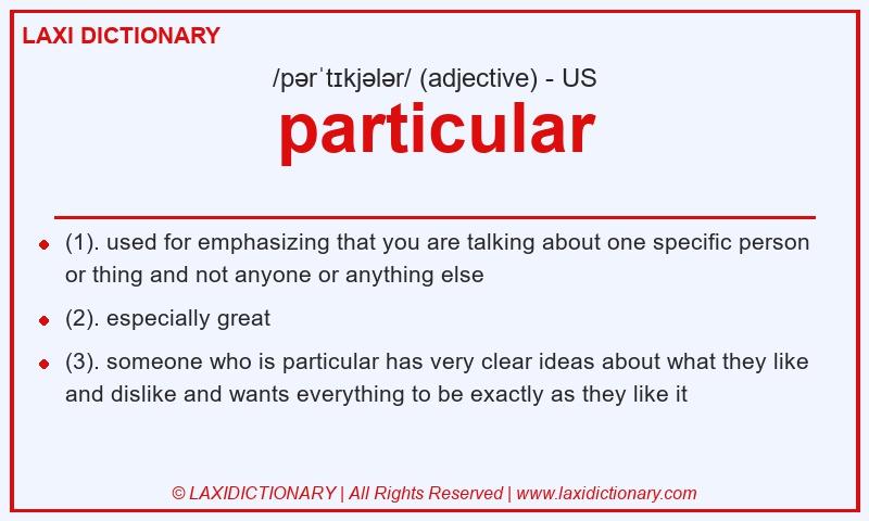 Definition particular in American English