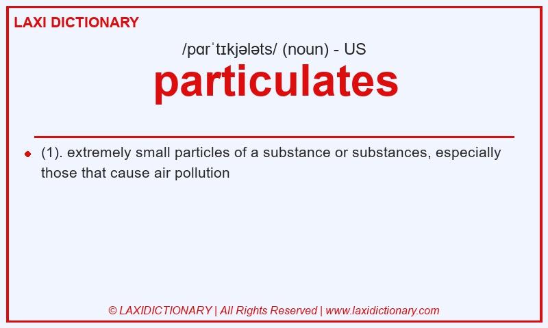 Definition particulates in American English