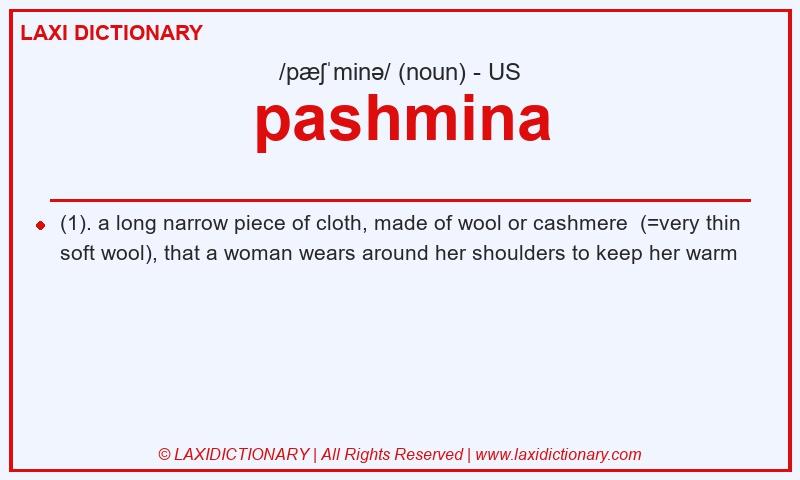 Definition pashmina in American English