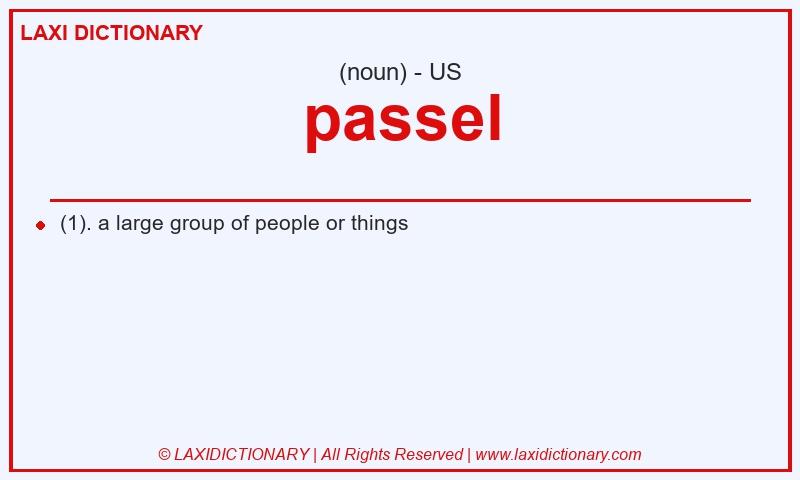 Definition passel in American English