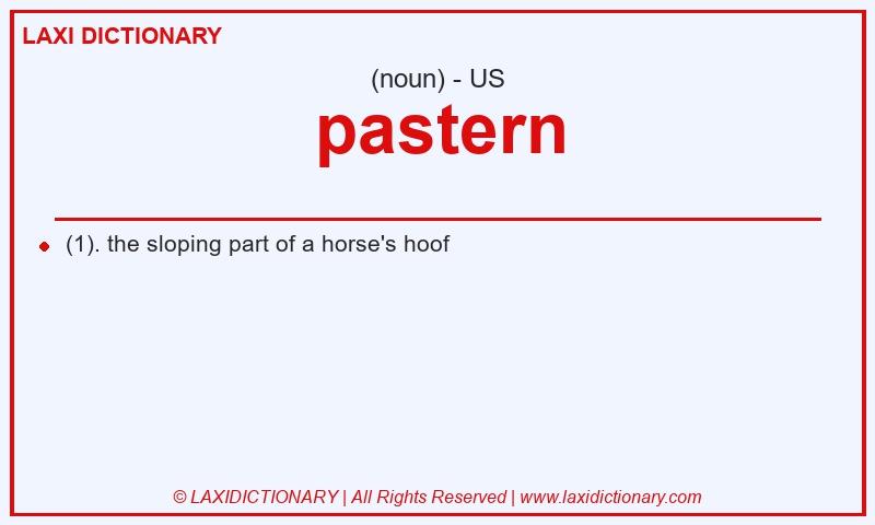 Definition pastern in American English
