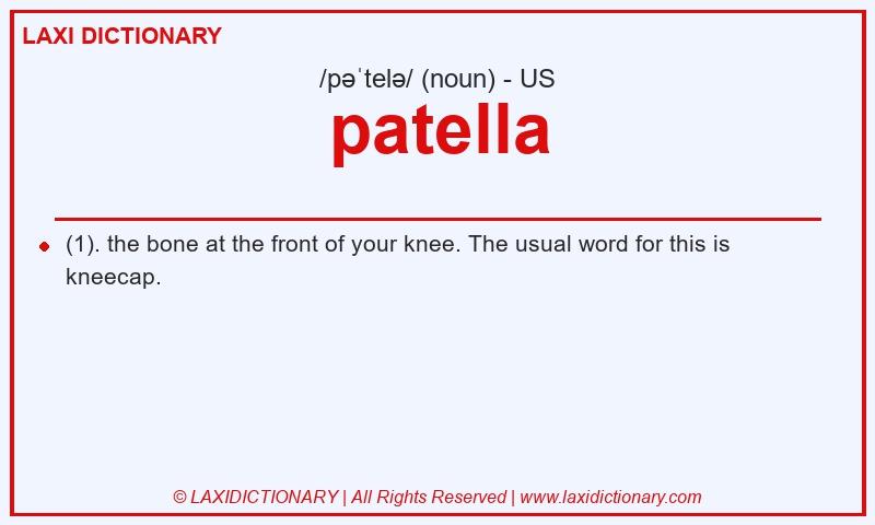 Definition patella in American English