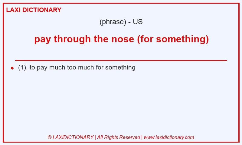 Definition pay through the nose (for something) in American English