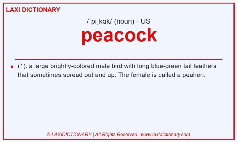 Definition peacock in American English