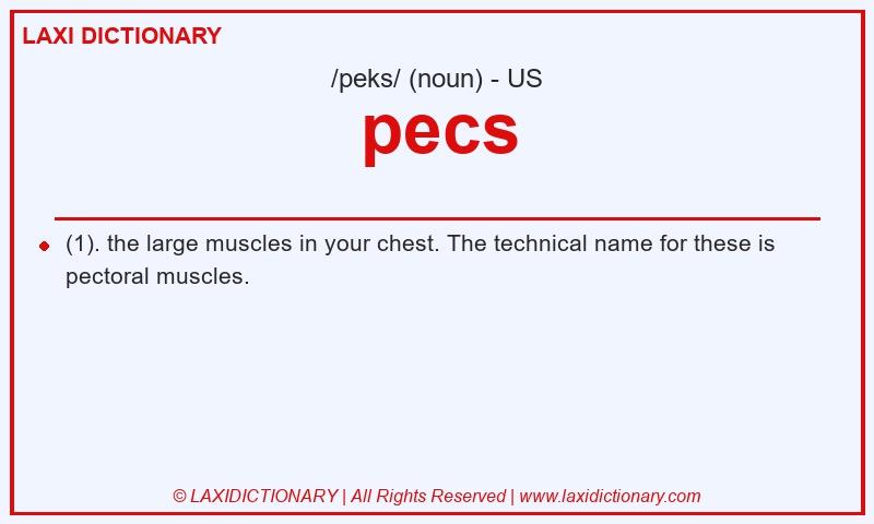 Definition pecs in American English