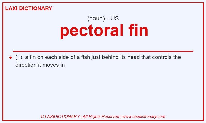Definition pectoral fin in American English