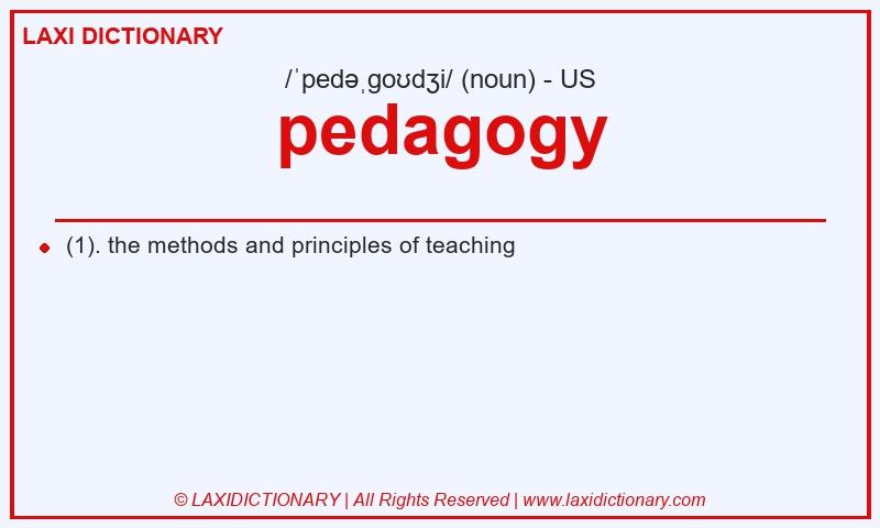 Definition pedagogy in American English