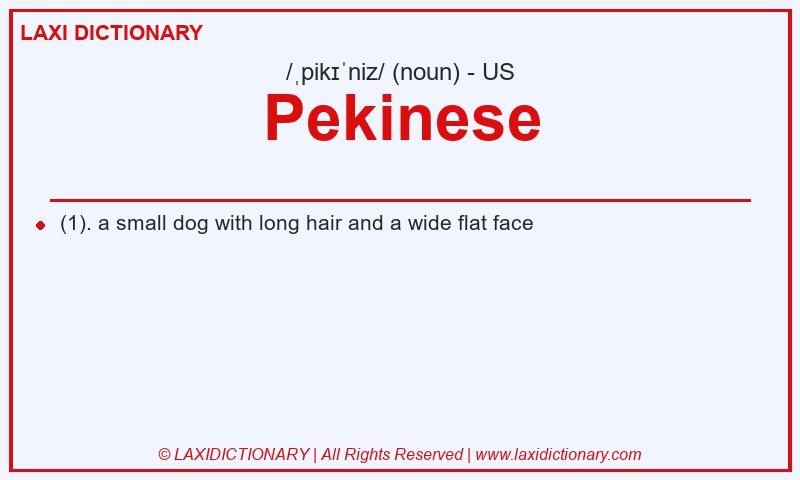 Definition Pekinese in American English
