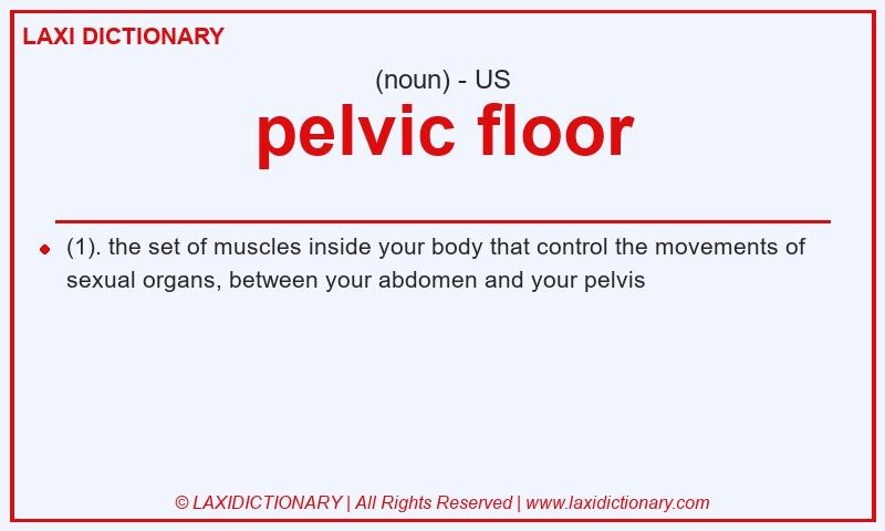 Definition pelvic floor in American English