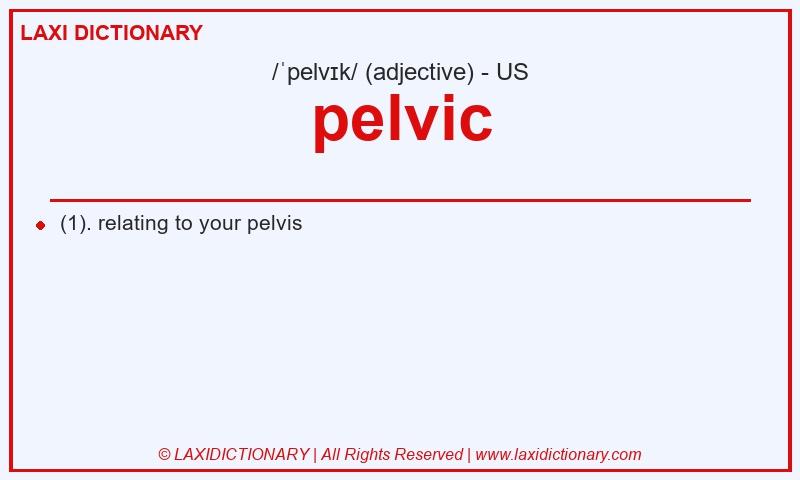 Definition pelvic in American English