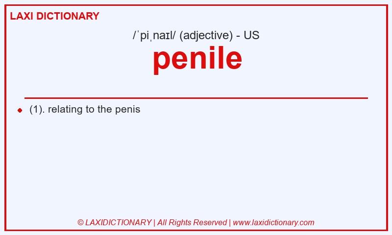 Definition penile in American English