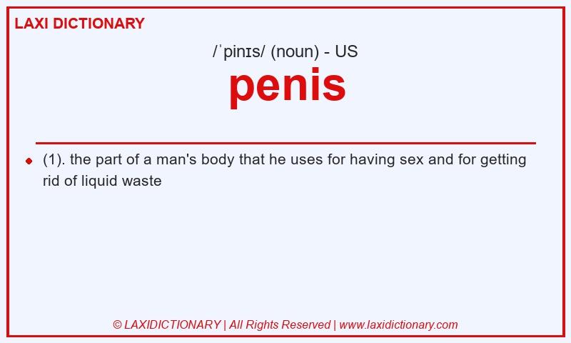 Definition penis in American English