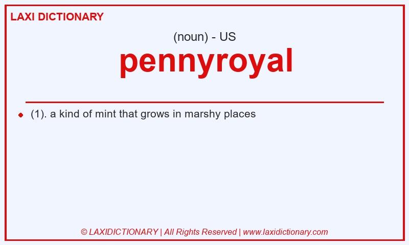 Definition pennyroyal in American English