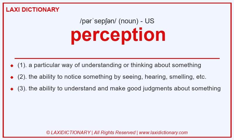 Definition perception in American English