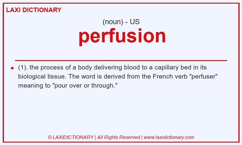 Definition perfusion in American English