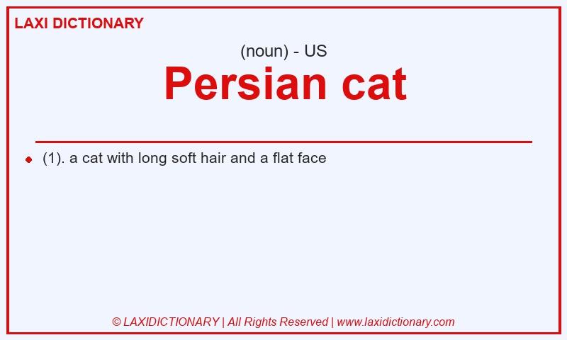 Definition Persian cat in American English