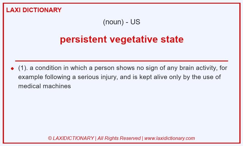 Definition persistent vegetative state in American English